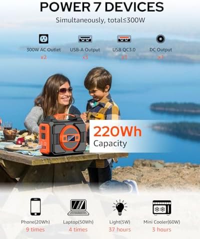 Portable power station 300W with 220Wh capacity — photo 4