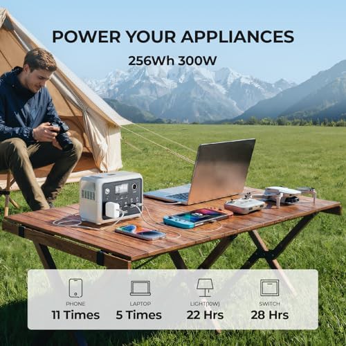 Dyness 300W portable power station with 256Wh capacity — photo 3