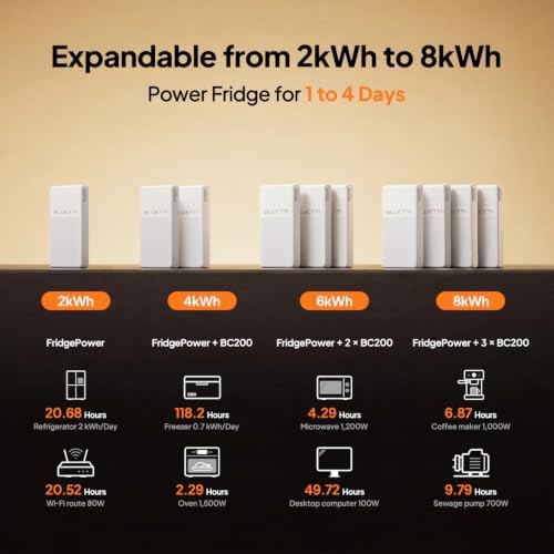 Expandable LFP battery backup for refrigerator power — photo 3
